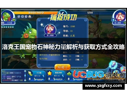 洛克王国宠物石神秘力量解析与获取方式全攻略